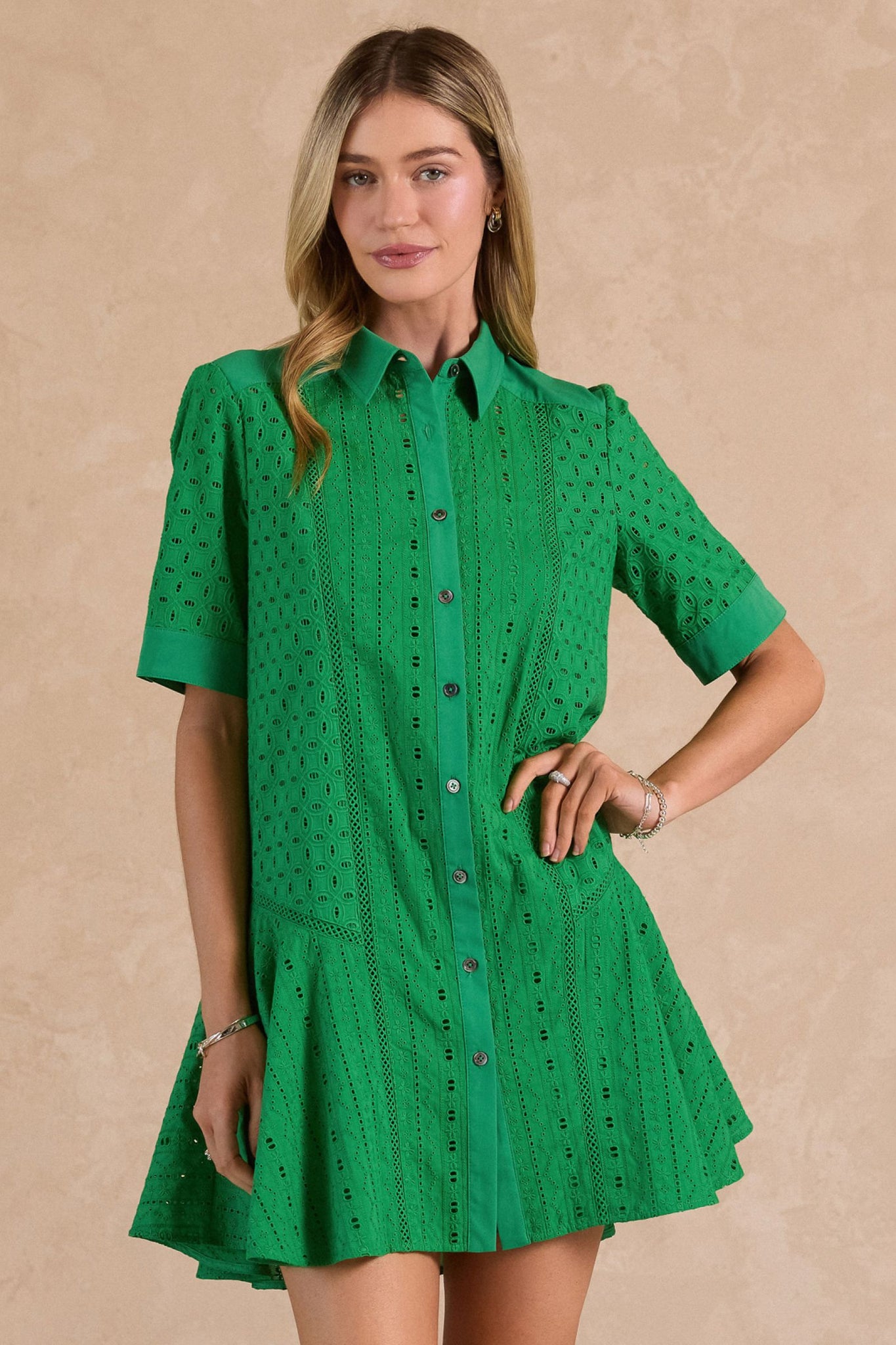 Laurie Eyelet Embroidered Button Down Current Air Mini Dress  Fig Tree  Jewelry & Accessories