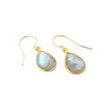 Andi Small Labradorite Dangle Earrings