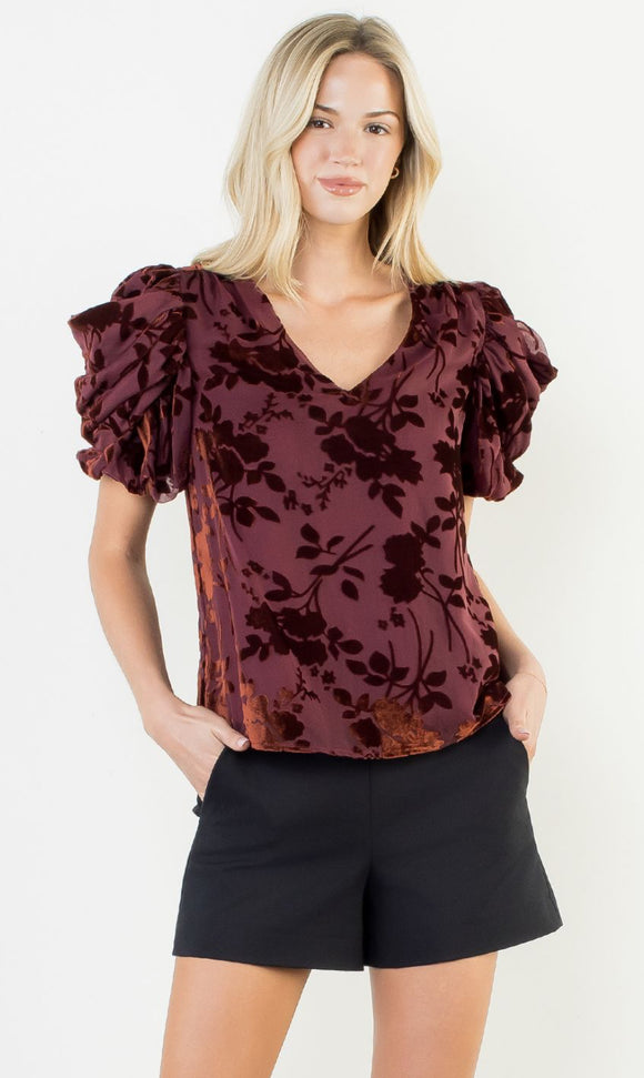 Linda Puff Sleeve Velvet Detailed THML Top