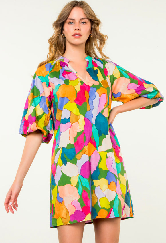 Glenda Puff Sleeve Multi Color THML Dress