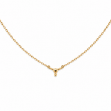 Kate Small Longhorn Necklace