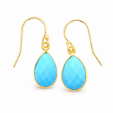 Andi Small Turquoise Dangle Earrings