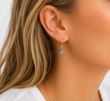 Andi Small Labradorite Dangle Earrings
