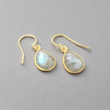 Claire Small Labradorite Dangle Earrings-Fig Tree Jewelry & Accessories